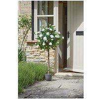 Smart Garden 120Cm White Faux Rose Tree