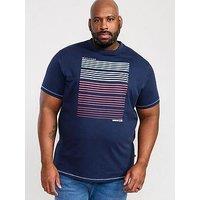 D555 Cransford Gradient Line Printed T-Shirt - Navy