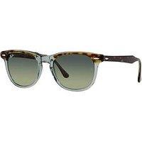 Ray-Ban Eagleeye Pillow Acetate Sunglasses
