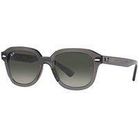 Ray-Ban Ray Ban Erik Square Acetate Sunlasses