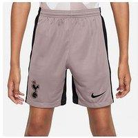 Nike Tottenham Youth 23/24 3Rd Stadium Shorts - Brown