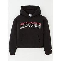 Champion Legacy Color Punch Hooded Sweatshirt