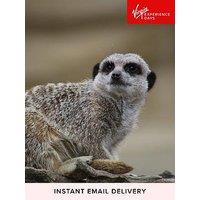 Virgin Experience Days Meet And Feed The Meerkats For Two At Millets Falconry Centre, Oxfordshire