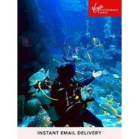 Virgin Experience Days Dive With Sharks At Skegness Aquarium, Lincolnshire