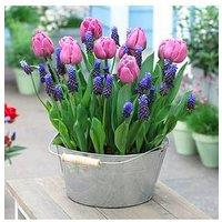 You Garden Drop In Bulb Planter Tulip And Muscari Kit