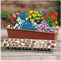 You Garden Drop In Bulb Planter Balcony Beauty Pack