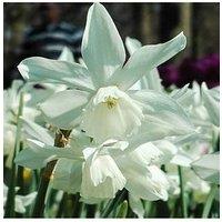 You Garden Narcissus Thalia - Pack Of 20 Bulbs