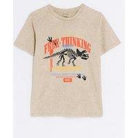 River Island Boys Dinosaur Print T-Shirt - Beige