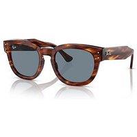 Ray-Ban Ray Ban Rounded Sunglasses - Striped Havana