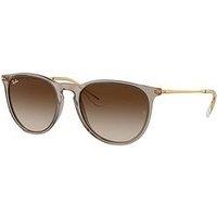 Ray-Ban Ray Ban Rounded Sunglasses - Transparent Light Brown