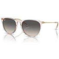 Ray-Ban Ray Ban Rounded Sunglasses - Transparent Pink