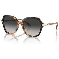 Coach Oversized Sunglasses - Honey Tortoise Black Gradient