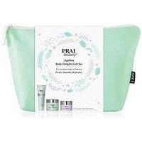 Prai Ageless Christmas Body Delights In A Green Bag