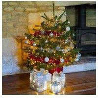 You Garden Pot-Grown Nordmann Fir Christmas Tree (100 -120Cm)
