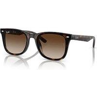 Ray-Ban 0Rb4420 Square Sunglasses