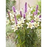 You Garden Plant-O-Mat Bulb Pod - Lilium And Liatris Mix
