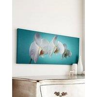 Art For The Home Teal Orchid Canvas