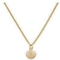 Elk & Bloom Dainty 18K Gold Plated Shell Clam Necklace