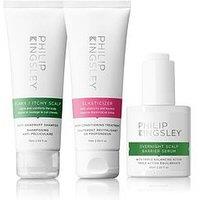 Philip Kingsley Healthy Hair And Scalp Starter Kit