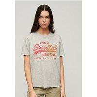 Superdry Tonal Graphic Relaxed T-Shirt - Grey