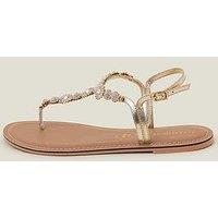 Accessorize Wf Rome Gold Sparkle