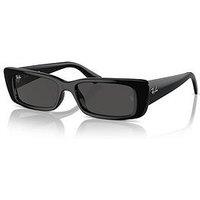 Ray-Ban Teru Sunglasses