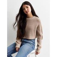 New Look 915 Girls Camel Hole Detail Crew Neck Crop Jumper