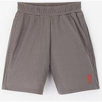Liverpool Fc Logo Shorts - Grey