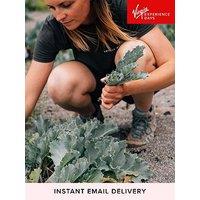 Virgin Experience Days Totally Wild Foraging, Cookery And Lunch For Two - 18 Uk Locations