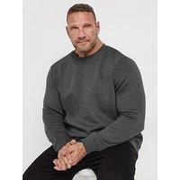 Badrhino Crew Neck Sweatshirt - Grey