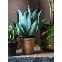 Gallery Aloe Wide Leaf 560X560X560Mm