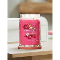Yankee Candle Red Raspberry Signature Large Jar Candle