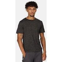 Regatta Mens Fingal Edition T Shirt- Light Grey