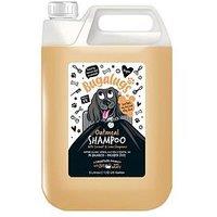 Bugalugs Oatmeal Shampoo With Coconut & Lime 5L