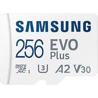 Samsung Evo Plus 2024 Microsdxc Memory Card - 256 Gb