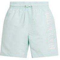 Calvin Klein Boys Medium Drawstring Swim Short - Green