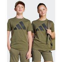 Adidas Sportswear Junior Boys Essentials T-Shirt - Green