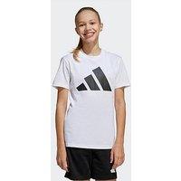 Adidas Sportswear Junior Boys Essentials Tee Set - White