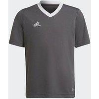 Adidas Entrada22 Jersey Youth - Grey