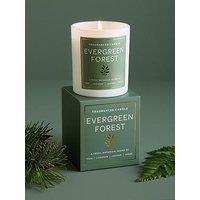 Very Home Evergreen Forest