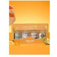 Craft Gin Club Citrus Gins Explorers' Set