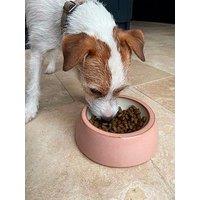 Denby Heritage Piazza Small Pet Bowl - Pink