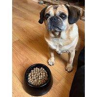 Denby Halo Small Pet Bowl - Black