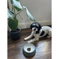 Denby Studio Grey Small Pet Bowl