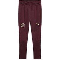 Puma Mens Mcfc Training Pants - Burgundy