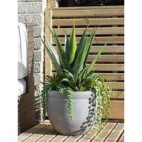 Scottish Everlastings Outdoor 67Cm Artificial Mixed Agave Container In Grey Pot