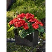 Scottish Everlastings Outdoor Artificial Red Geranium Trough