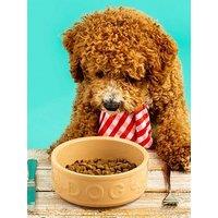 Mason Cash Cane Lettered Food & Water Bowl Set 15Cm