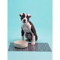 Mason Cash Colourmix Set Of 2 Cream Dog Bowls &Placemat