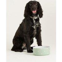 Mason Cash Polka Dot Sage Set Of 2 Dog Bowls 18Cm